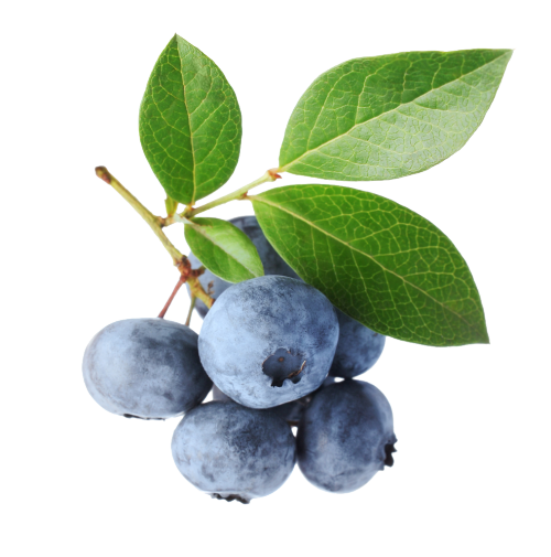 Blueberries