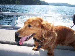 Little Maggie!  ...Dogs LOVE Boats Rides!